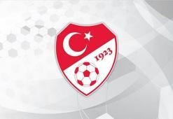 A Milli Futbol Takımı'nın Karadağ ve İzlanda maçlarının yerleri belli oldu