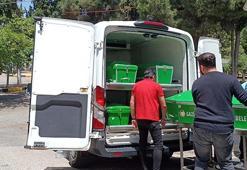 Kadın cinayetleri azaldı