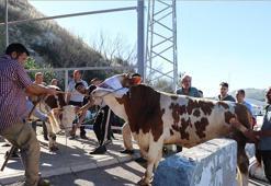 Ankara'da kurban kesim alanlarında yoğunluk
