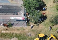 'Yasak' afişlerinin altında kaçak kurban kestiler