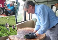 Hollanda’dan Rize’ye gelip çayın üretim aşamalarını gördüler