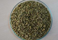 Bilimsel çalışma, doğal İzmir kekiğinin antibiyotikten etkili olduğunu ortaya koydu