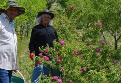 Eşiyle birlikte taşlık alanı bahçeye çevirdi