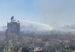 Diyarbakır’da 1,5 ayda, 5 bin 146 dönüm ekili buğday ve arpa yandı