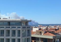 Çanakkale’de orman yangını