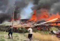 Ankara'da ahır yangını; 12 büyükbaş öldü