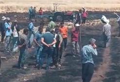 Diyarbakır'ın 2 ilçesinde 200 dönüm ekili buğday ve üzüm bağı yandı