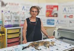 Emekli hemşire, bayram ziyaretinde yolda bulduğu bacağı kırık kediyi tedavi ettirdi