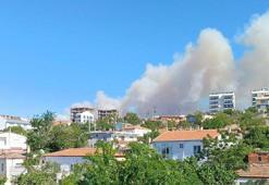 Çanakkale'de bir orman yangını daha