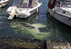 Fatih'te sürücüsünün park etmeye çalıştığı otomobil denize düştü; sürücü son anda kurtuldu