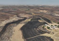 Diyarbakır ve Mardin'deki yangınlarda 'hasar tespit' çalışması tamamlandı