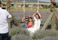 Edirne’deki lavanta tarlaları bayram tatilinde ziyaretçilerini ağırladı
