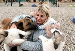 Hasta köpeklerin Ankara'ya taşınması davasında tahliye