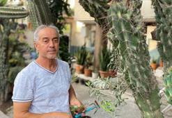 13 yaşındayken başlayan hobisiyle evini kaktüs bahçesine çevirdi