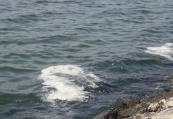 İzmit Körfezi'ndeki beyaz tabakanın fitoplankton olduğu ortaya çıktı