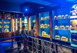 Deniz ürünleri mezarlığı, sözde müze boşaltıldı