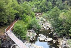 Bayram tatilinde milli parklar ve tabiat parklarını 5 milyon kişi ziyaret etti