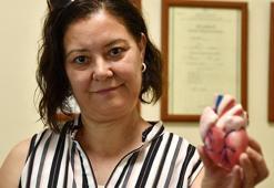 Meme altından 5 santim kesiyle kalp kapakçığı değişti