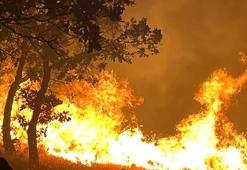 Adıyaman'da yangın