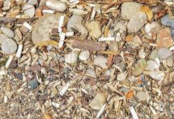 Sahilde izmarit, çekirdek kabuğu kirliliği