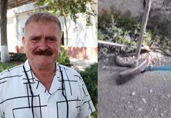 ‘Yılan ısırmasında kanın emilerek boşaltılması doğru değil’