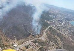 Çeşme'de makilik yangını