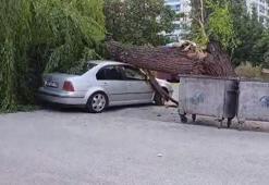 Ankara'da kuvvetli rüzgar; ağaç devrildi, 4 araç hasar gördü