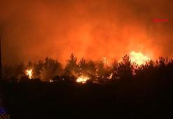 İzmir'deki orman yangını kontrol altında