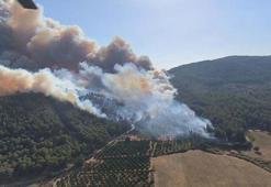 Selçuk'ta çıkan orman yangını Kuşadası'na da sıçradı