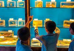 Çocukları korkutan sözde müzeye üst mahkemeden de kötü haber