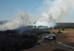 Bursa'da anız yangını, BUÜ kampüsünün de içinde olduğu ormana sıçradı