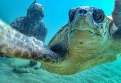Rekortmen dalgıç, denizin dibinde caretta caretta ile selfie çekti