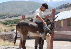 Sahiplerinin terk ettiği eşek, yaşamını çiftlikte sürdürecek