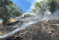 Otluk yangını Kütahya Kalesi'ne ulaşmadan söndürüldü