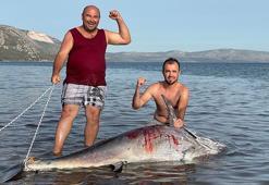 200 kiloluk orkinos çakı ve zıpkınla avlandı, o anlar kamerada