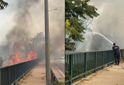 Bursa'da ağaçlık alanda yangın