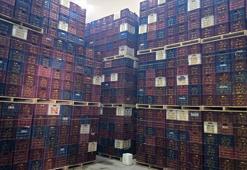 Mersin'de Hal Kayıt Sistemi'ne bildirilmeyen 380 ton limon bulundu