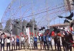 Kelaynaklar göç yoluna bırakıldı