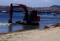 Koruma altındaki deniz çayırlarını söken kepçe operatörüne 13 bin TL ceza