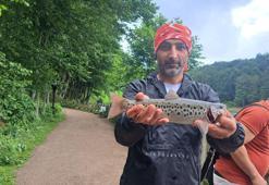 Ordu Ulugöl’de oltalar yarıştı