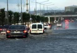 'Küresel iklim değişikliğiyle mücadelede Erzurum Bataklıkları Sulak Alanı önemli'