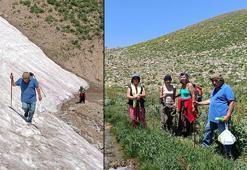 3 bin 500 rakımlı Berçelan Yaylası'ndaki buzul göllerine doğasever ilgisi