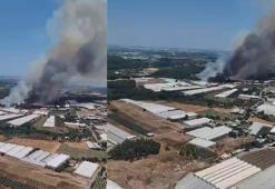 Antalya'daki orman yangını kontrol altında