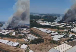 Antalya'daki orman yangını kontrol altında