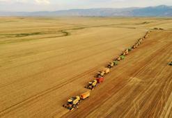 Türkiye'de kişi başına 250 kilo buğday üretiliyor