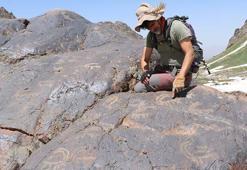 Cilo-Sat Dağları'ndaki hayvan figürlü kaya resimleri, tez konusu oldu