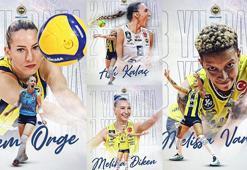 Fenerbahçe Kadın Voleybol Takımı'nda 4 oyuncu yeni sözleşmeye imza attı