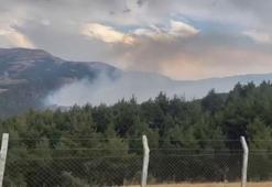 Kahramanmaraş'ta çıkan orman yangını kontrol altında
