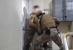 İstanbul'da 'Bayğaralar' uyuşturucu şebekesine operasyon: 9 şüpheli yakalandı