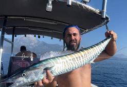 Türkiye'de ilk kez görülen kral balığı, sahte yemli oltaya takıldı